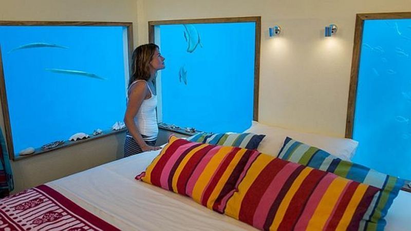 Di hotel ini kamu bakal lihat ikan berseliweran di jendela kamarmu!