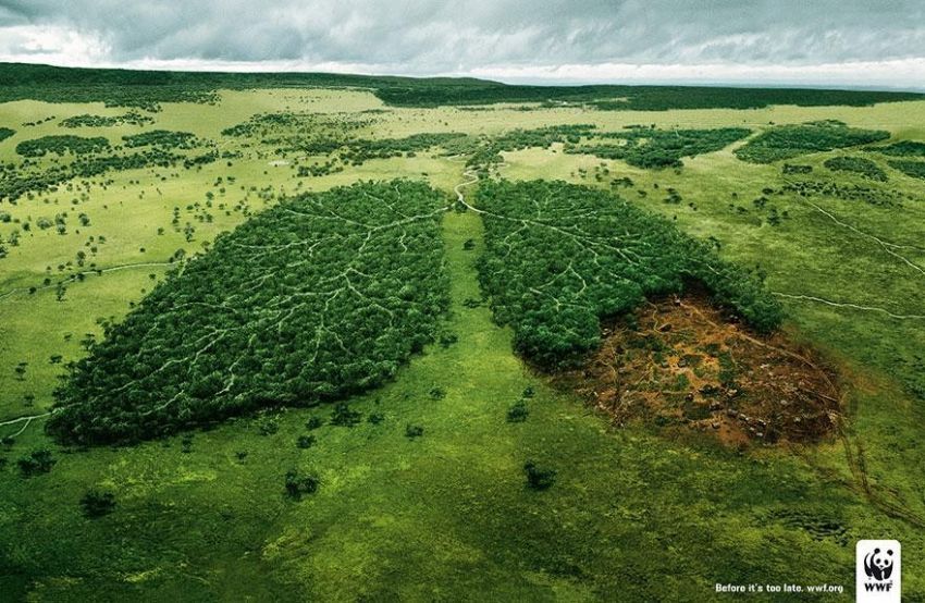 Jaga kelestarian hutan