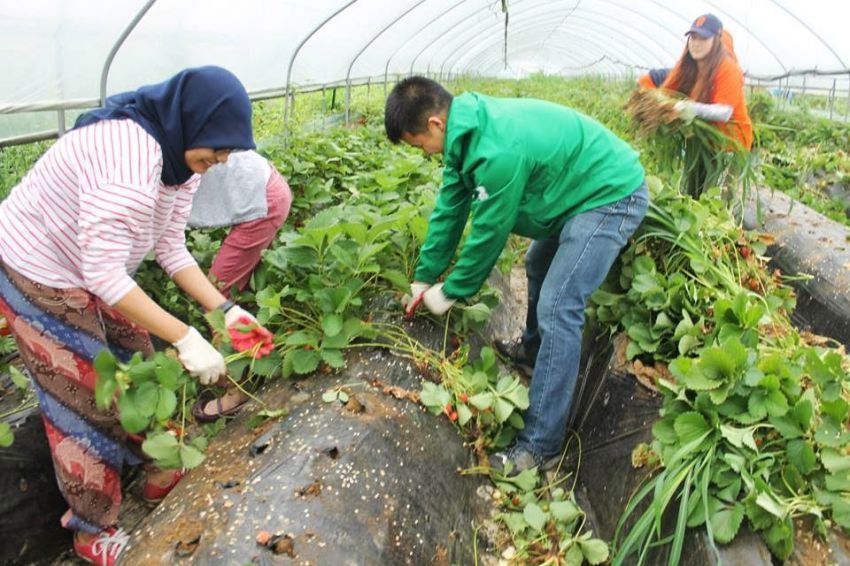 Siapa bilang bertani itu enggak fun?