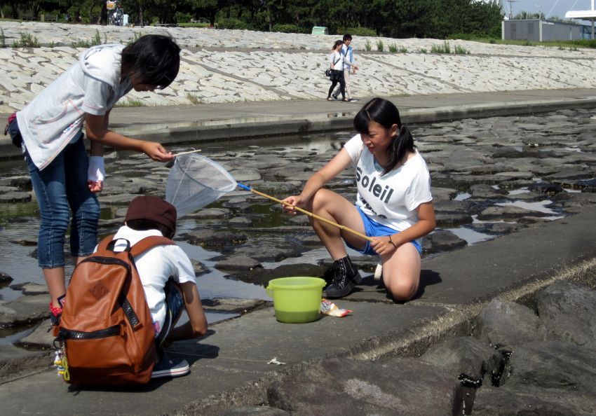 Kamu akan punya otonomi dan kebebasan