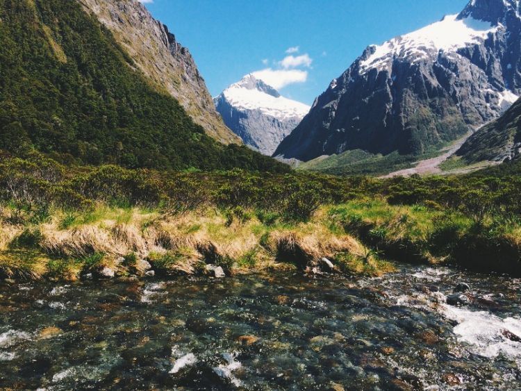 Fiordland National Park via Azarine Kyla Arinta.