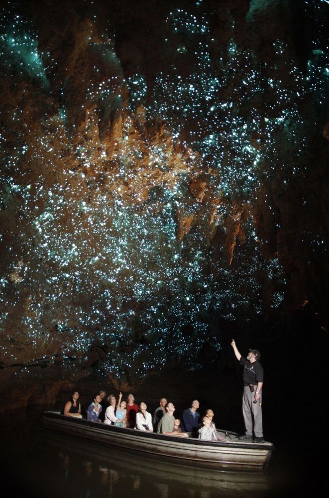 Berperahu di dalam gua Waitomo