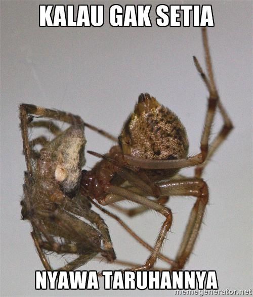 Nyawa taruhannya