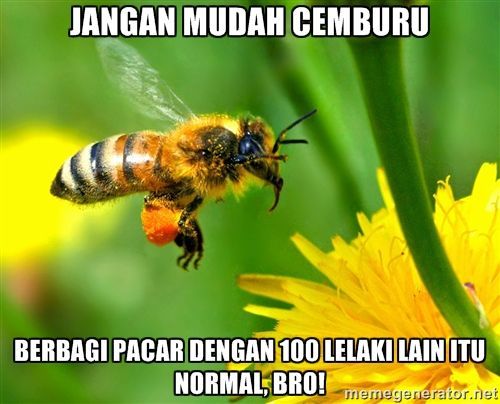 Jangan cemburu