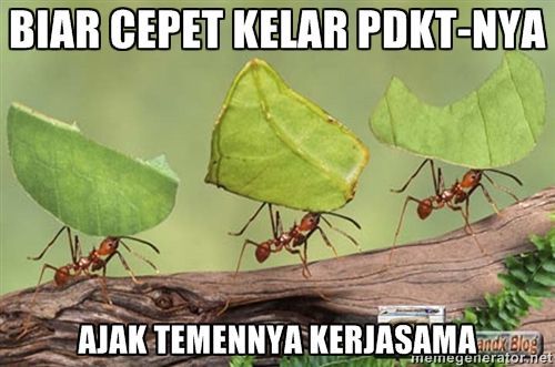 Pdkt temennya juga