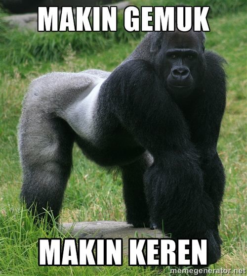 Gemuk itu keren