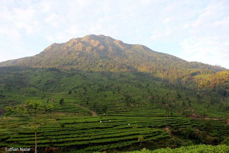 Gunung Ungaran