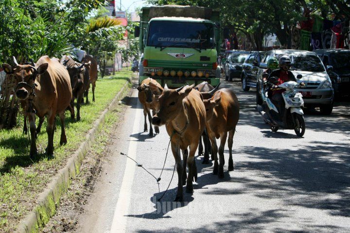 Mereka masuk ke bandara