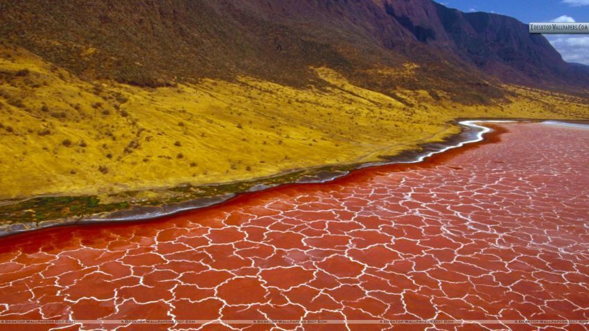 Danau Natron, Tanzania