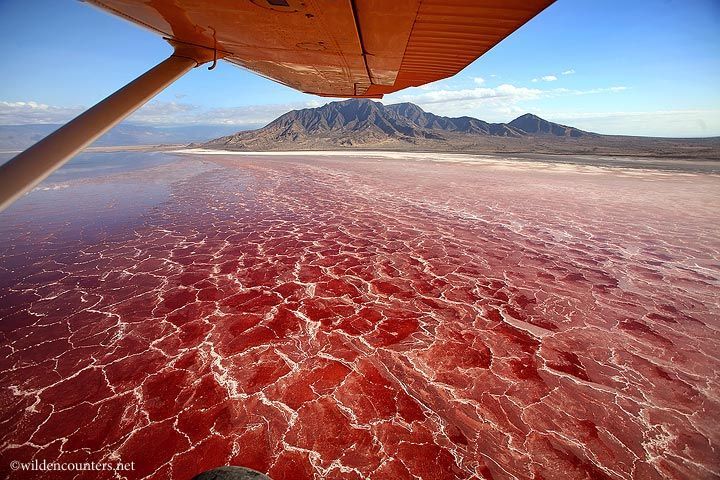 Suhu air di danau ini dapat mencapai 60 derajat celcius
