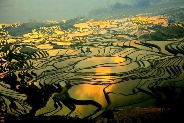 daerah pertanian Yuanyang