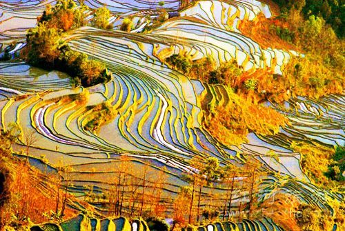 gradasi warna yang luar biasa