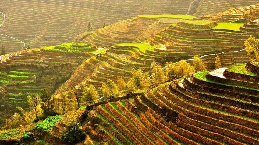 Terasering di Yuangyang