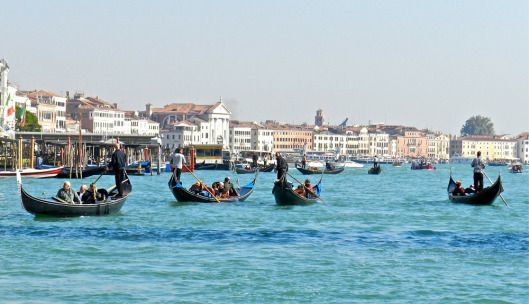 Foto Don dan Alison dari Venice