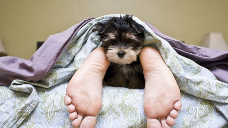 Sssst…Kamu Bisa Bawa yang Lain Ke Tempat Tidur Tanpa Harus Selingkuh