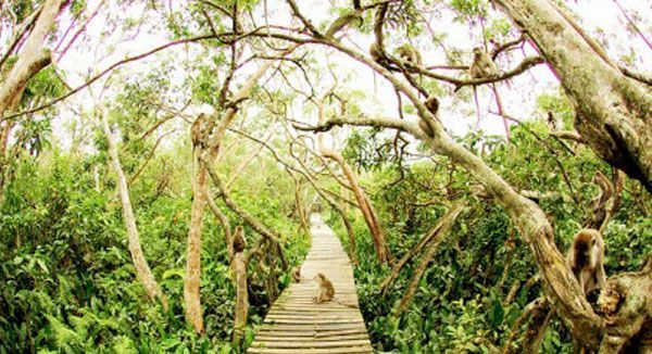 Pulau Kaget, Kalimantan Selatan