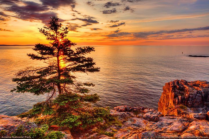 sunrise di salah satu sudut acadia