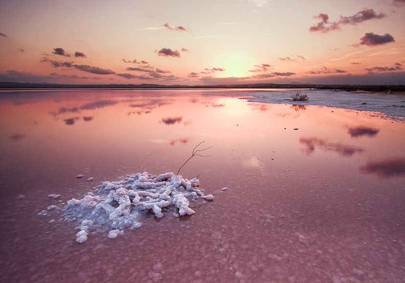 Air di danau ini bewarna pink akibat ganggang yang tumbuh di danau ini