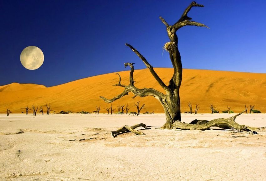 Dead Vlei, Namibia