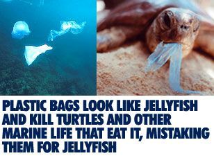 jangan boros plastik