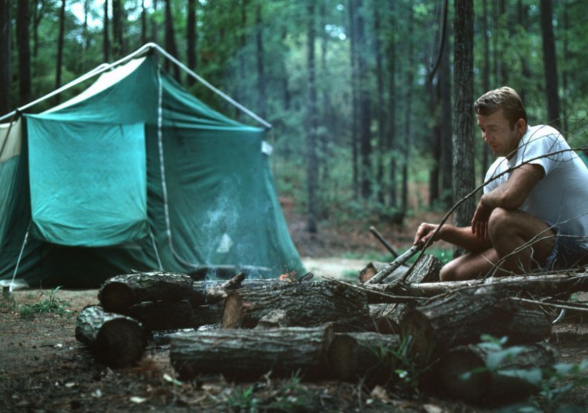 Into The Wild