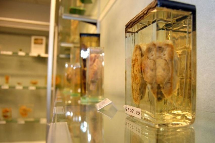 Museum unik di dunia