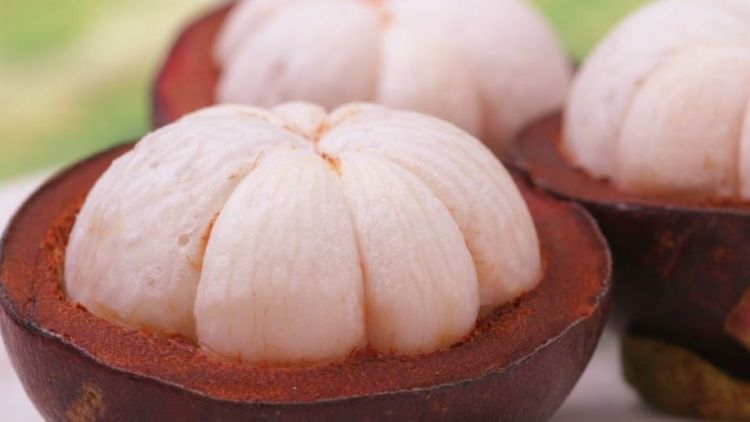 Kabar gembira! Inilah Manfaat Kulit Manggis yang Gak Kamu Ketahui