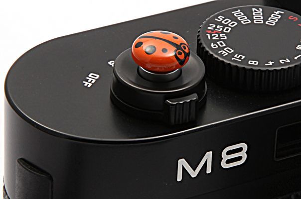 Shutter Release Kepik. Lucu, kan?