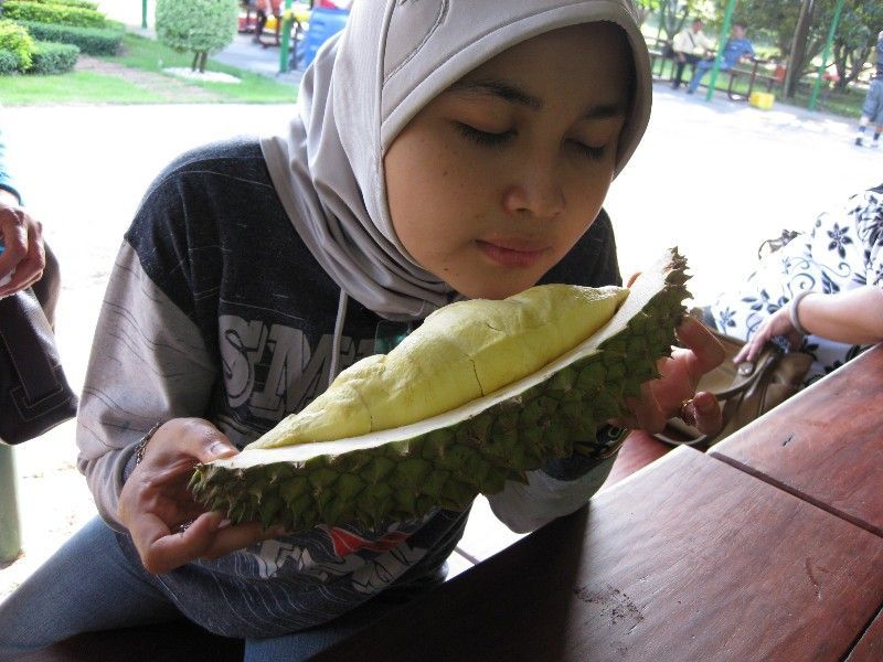 Ngidam Duren Bangkok