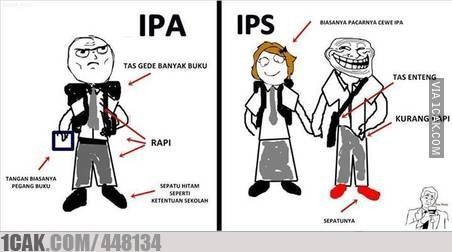 IPS vs IPA