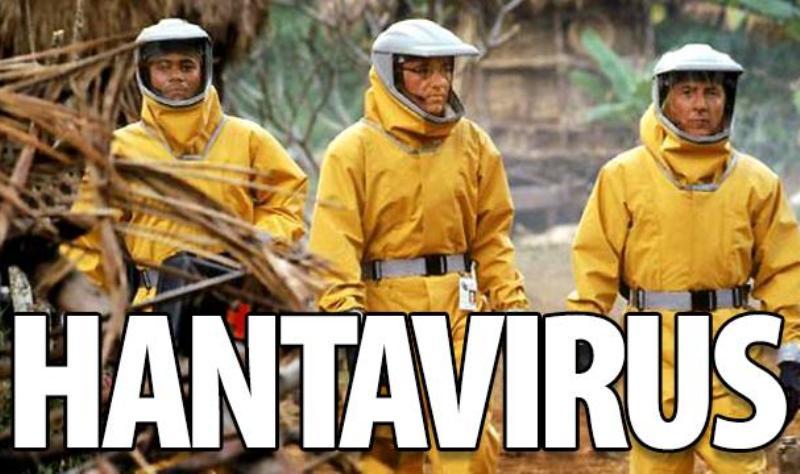 Bukan HIV Atau Ebola: Berikut Daftar Virus Paling Berbahaya Yang Mengancam Manusia 20 hantavirus