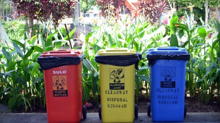 Jika Memasukkan 20 Barang Ini ke Tempat Sampah, Kamu Justru Membuang Sampah Sembarangan!