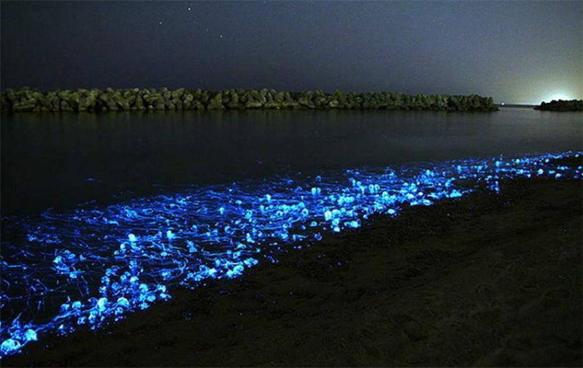 danau toyama saat malam hari datang