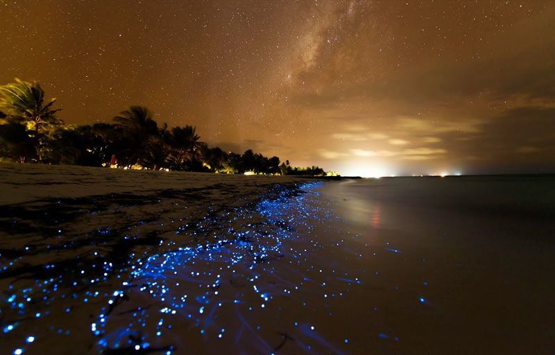 pulau vaadhoo, maldives