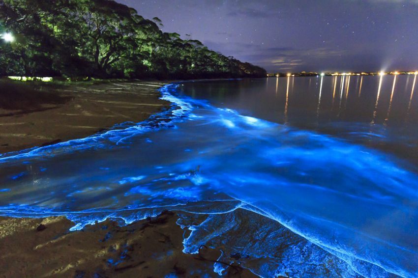 pulau vaadhoo paling tepat dikunjungi di saat malam