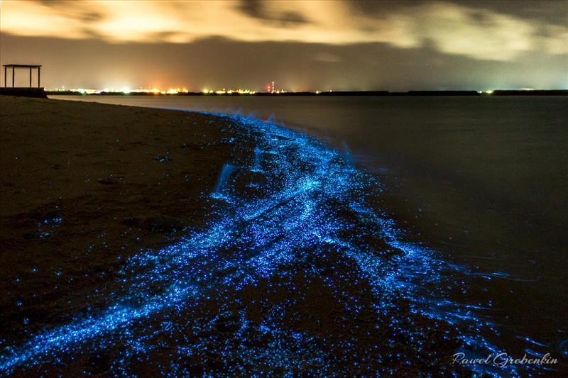 pesisir pantai pulau vaadhoo