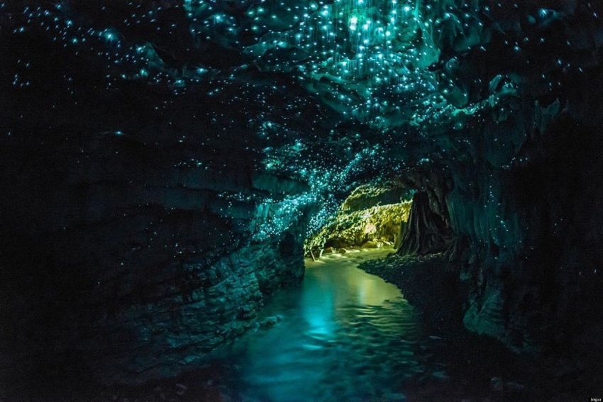keindahan gua waitomo