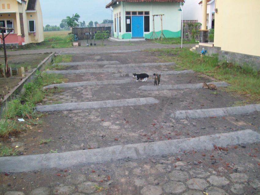 Polisi tidur