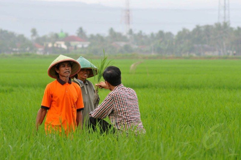 Apa yang kamu lakukan bermanfaat bagi diri sendiri dan orang lain