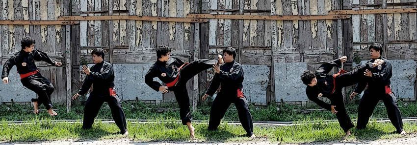 Pencak silat