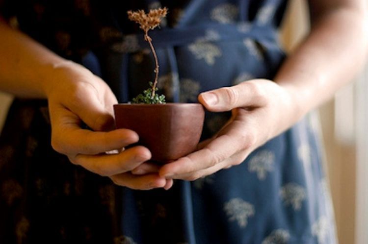 me time dengan berkebun