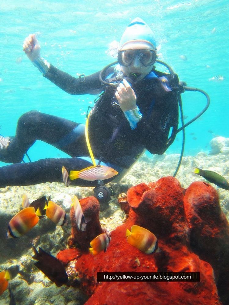 Diving spot Indonesia