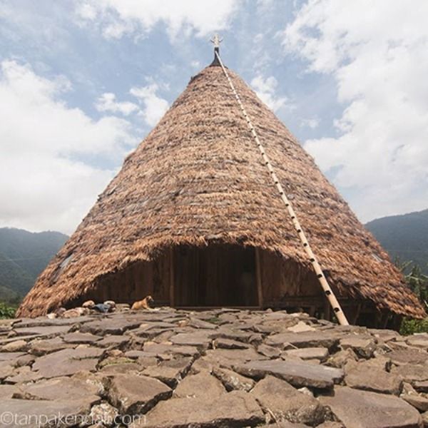 Rumah adat tradisional Waerebo