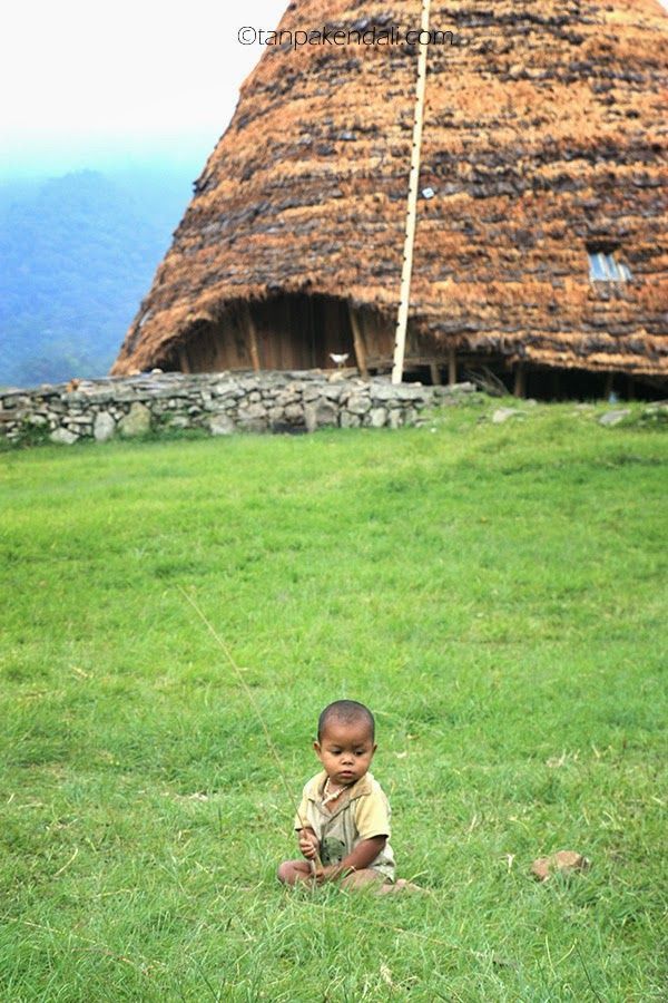 Anak kecil yang bermain di halaman
