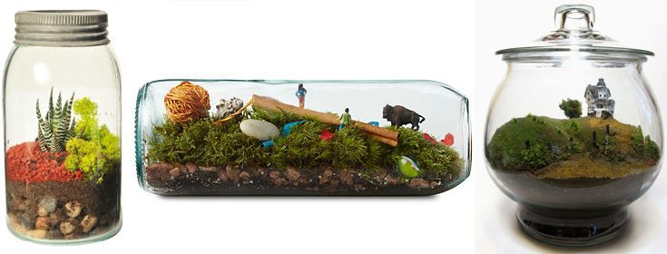 Terrarium bottle