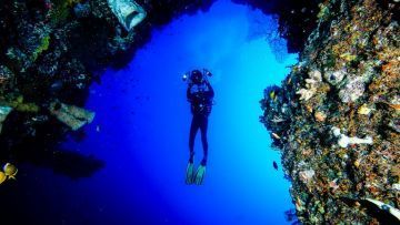 10 Diving Spot Indonesia Terbaik yang Wajib Kamu Jelajahi