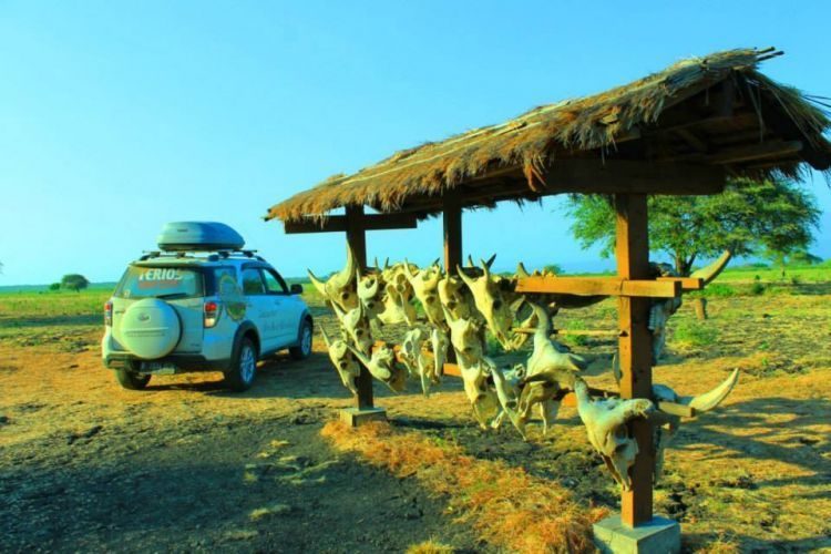 Transportasi ke Baluran