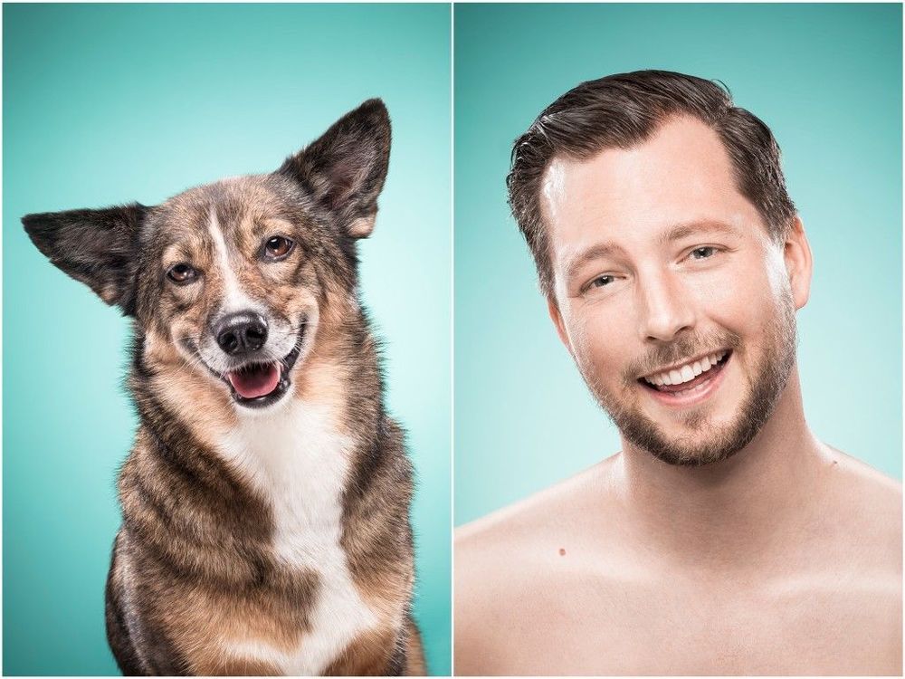 15 Hal yang Gak Pernah Dirasakan Oleh Mereka yang Belum Pernah Memelihara Anjing