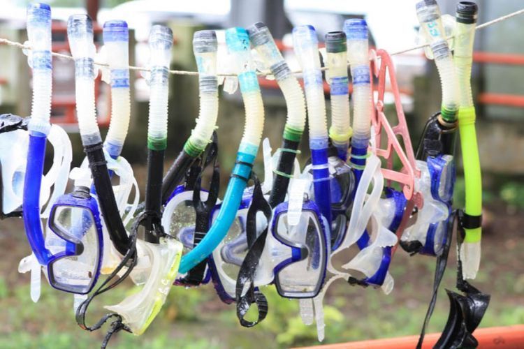 Bersihkan dulu peralatan snorkeling sewaan