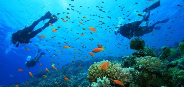 Berdecak kagum oleh pemandangan alam bawah lautnya